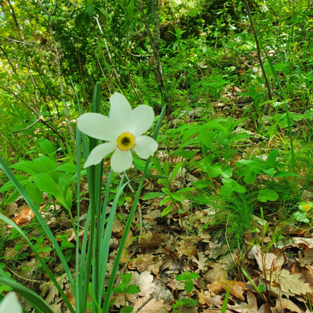 reprendre le volant de sa vie