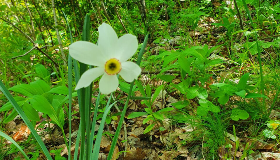 reprendre le volant de sa vie